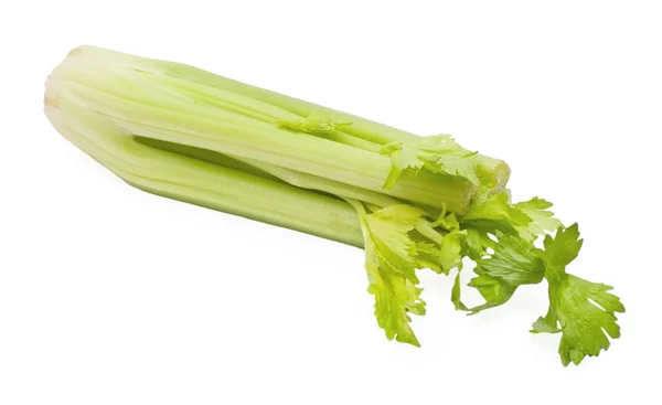 Celery stem Stock Picture