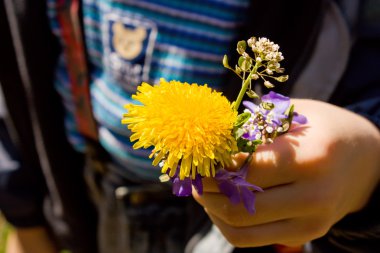 karahindiba çocuk ellerinde.