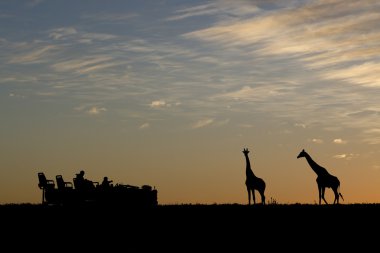 African safari silhouette clipart