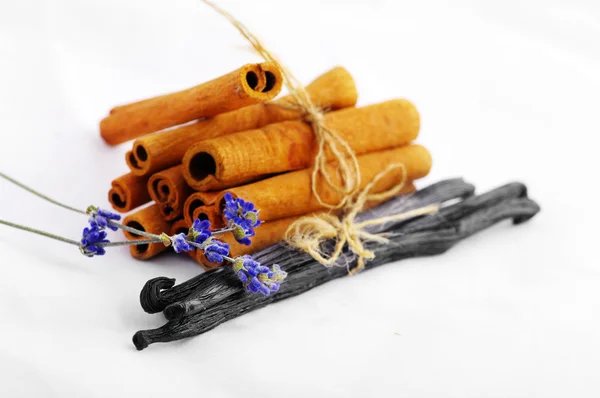 Cinnamon and vanilla isolated over white background — Stock Photo, Image
