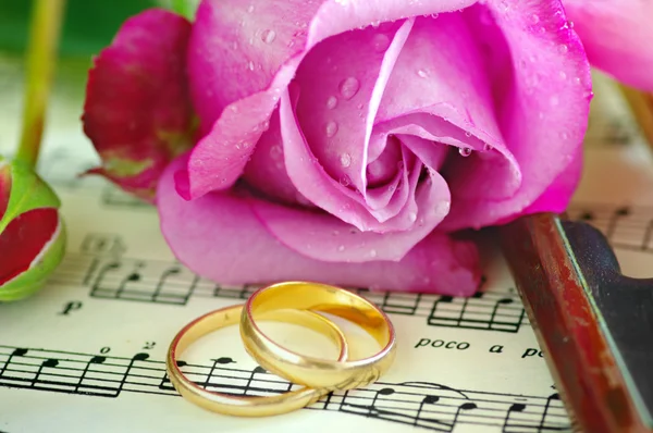 Anéis de casamento de ouro e rosa rosa na nota — Fotografia de Stock