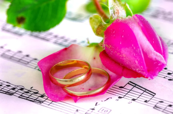 Arany eljegyzési gyürük, és a Megjegyzés pink rose — Stock Fotó