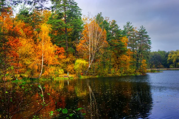 Живописный осенний пейзаж озера и ярких деревьев и кустарников — стоковое фото