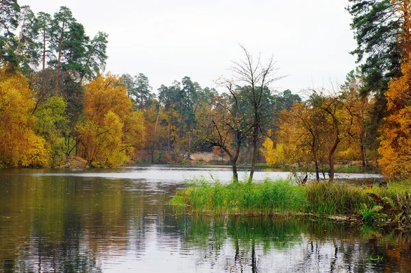 Pittoresco paesaggio autunnale di lago e alberi e cespugli luminosi — Foto Stock