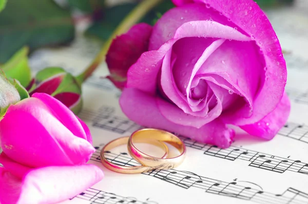 Anillos de boda y rosas rosadas — Foto de Stock