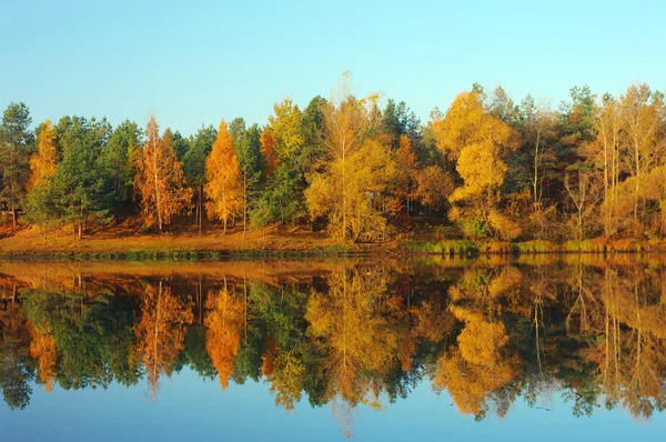 A folyó festői őszi táj — Stock Fotó