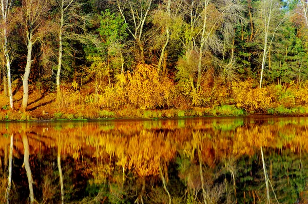 如诗如画的秋景的河 — 图库照片