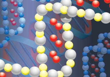 Metal özgeçmişe sahip DNK molekülleri