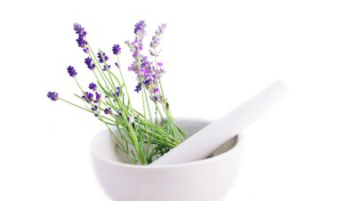 Lavender herb leaves in an ceranic mortar with pestle over white clipart