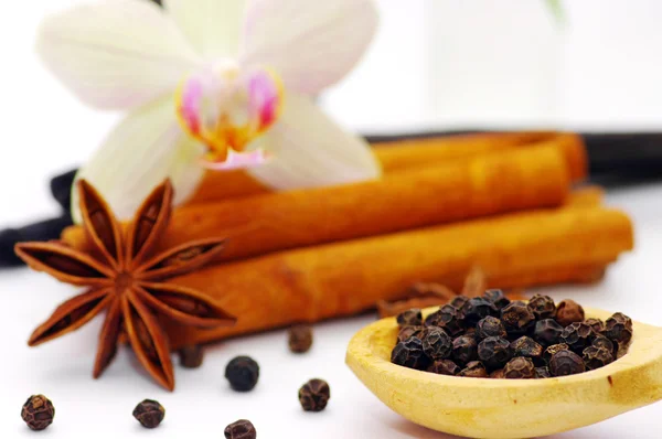 Skořice, vanilka a badyánu — Stock fotografie