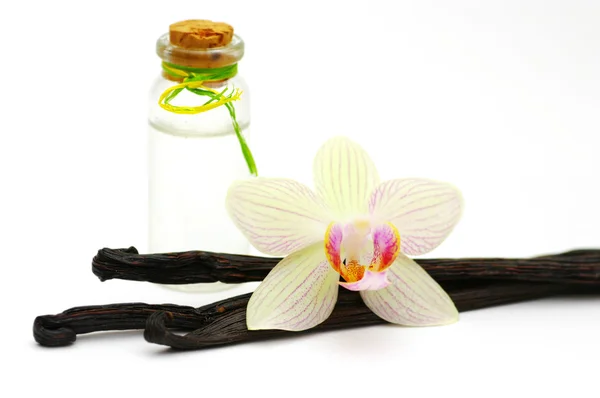 Beyaz arka plan üzerinde izole vanilya yağ — Stok fotoğraf