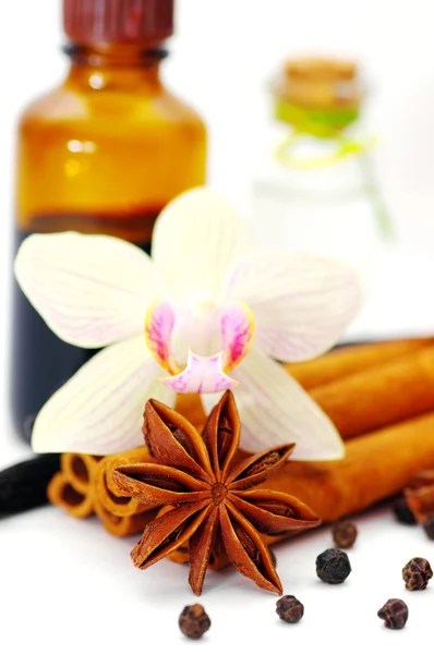 Cinnamon, vanilla bean and star anise — Stock Photo, Image