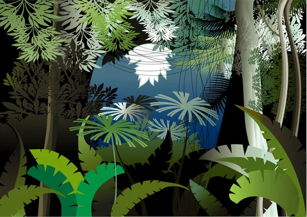 Nuit dans la jungle — Image vectorielle