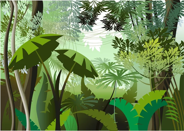 Přerostlé Rostliny Džungli — Stockový vektor