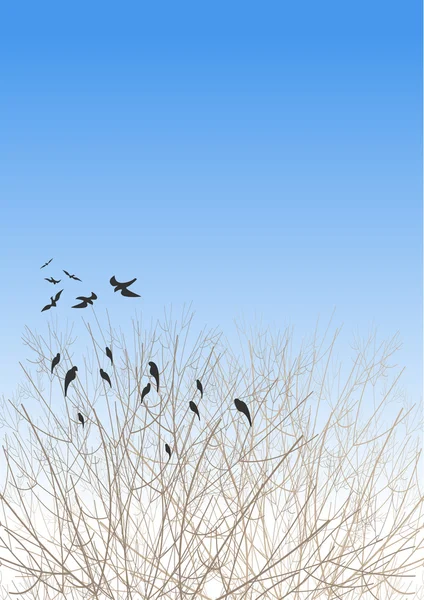 Ein Schwarm Saatkrähen Den Bäumen Frühlingspark — Stockvektor