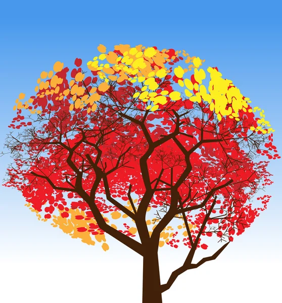 Herbstbaum — Stockvektor