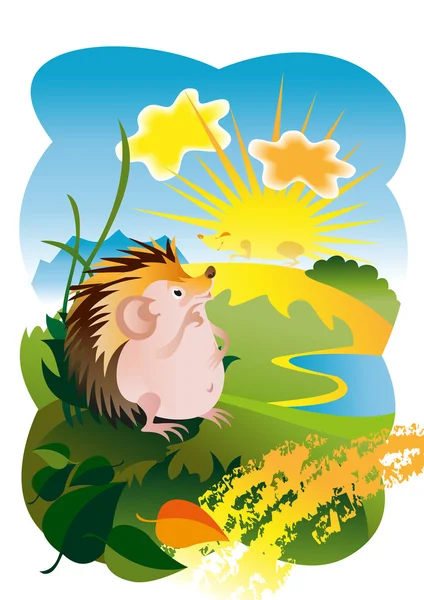 The Hedgehog and the sun — Stock Vector