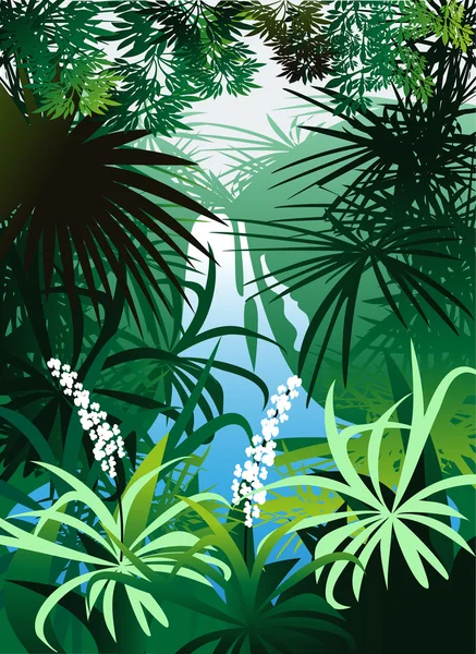 Une cascade dans la jungle — Image vectorielle