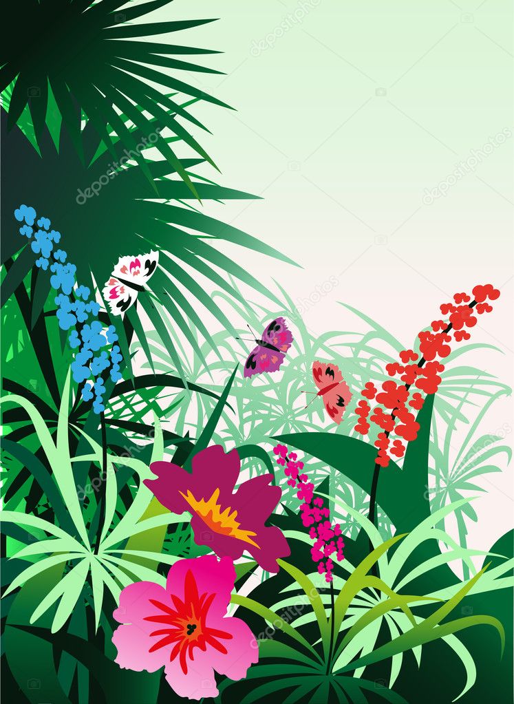 Tropical flowers