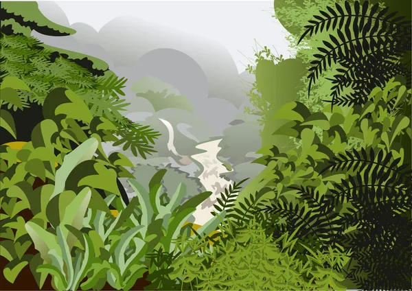 River in the jungle — Stock Vector