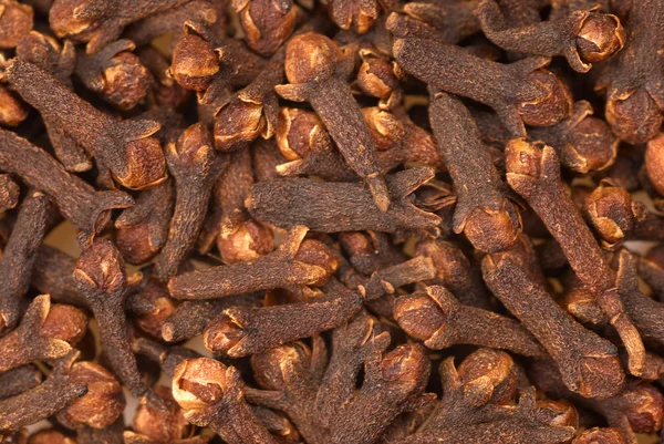 stock image Cloves