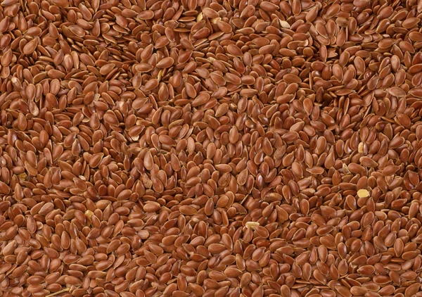 Льняное семя — стоковое фото