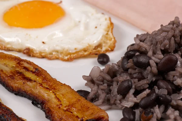 Gallo pinto breakfast — Stock Photo, Image