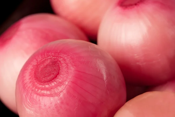 Pickled red onions — Stock Photo, Image