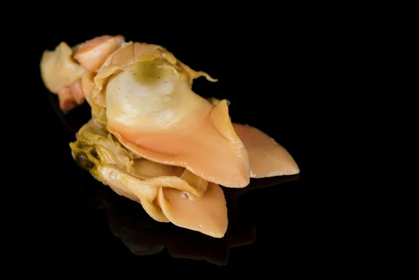 Rode clam — Stockfoto