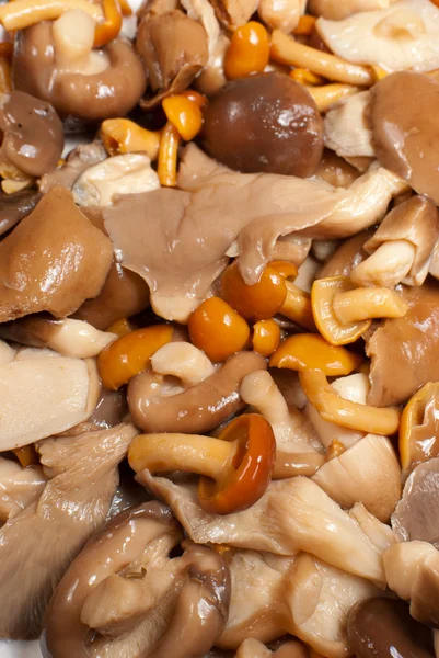 stock image Assortment of various mushrooms, diced and pickled