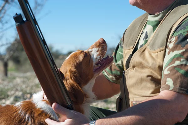 狩猟のパートナー — ストック写真
