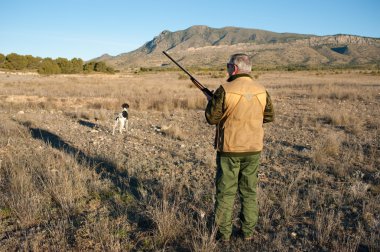 Quail hunter in camouflage clothing walking across the field clipart