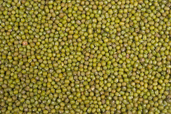 Moong beans — Stock Photo, Image
