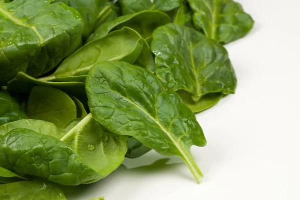 Heap Fresh Moist Spinach Leaves — Stock Photo, Image