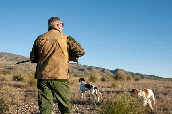 Jäger Und Hunde Halten Ausschau Nach Der Beute — Stockfoto