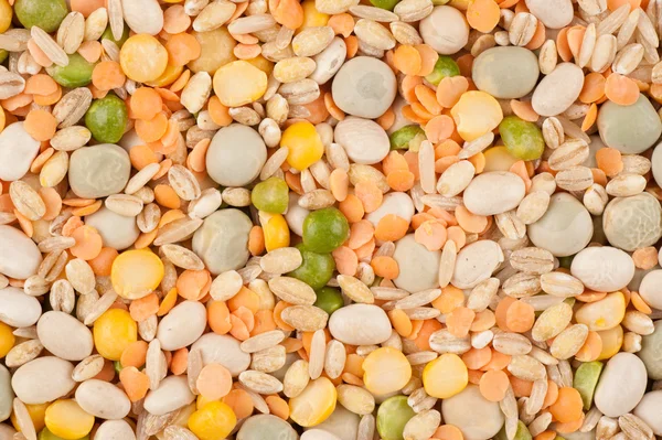 Assorted legumes — Stock Photo, Image
