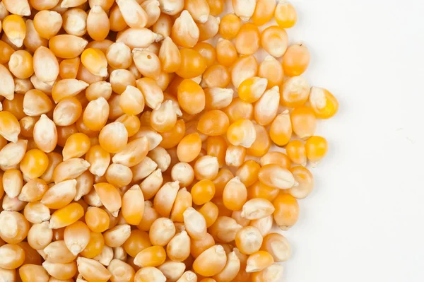 Семена кукурузы — стоковое фото