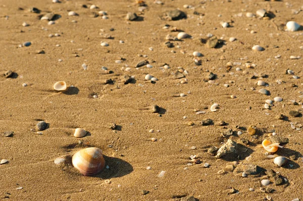 Παραλία άμμου φόντο — Φωτογραφία Αρχείου