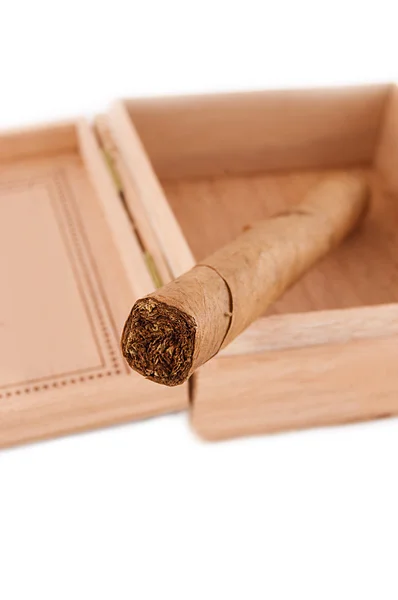 One left cigar in wooden box — Stock Photo, Image