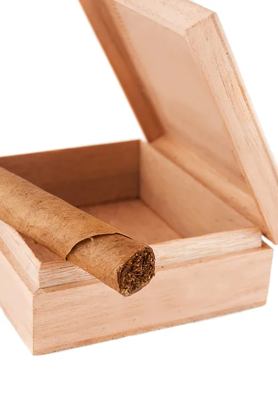 Одна ліва сигара в дерев'яній коробці — стокове фото