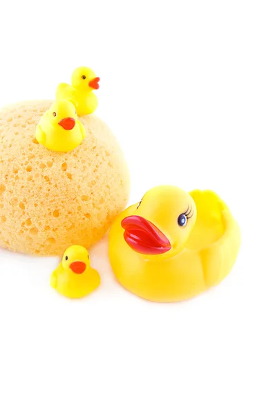 Sponge and rubber ducks — Stock Photo, Image