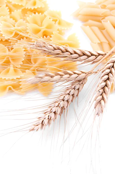 Pasta with wheat ears — Stock Photo, Image