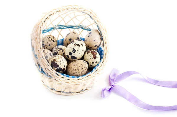 Křepelčí vejce v košíku — Stock fotografie