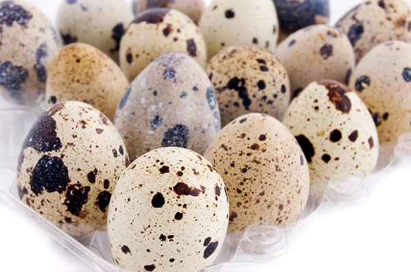 Křepelčí vejce syrové v zásobníku — Stock fotografie