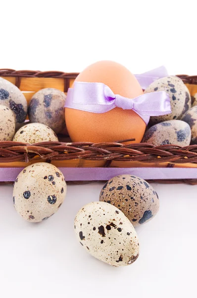 Codornas e ovos de galinha na cesta — Fotografia de Stock