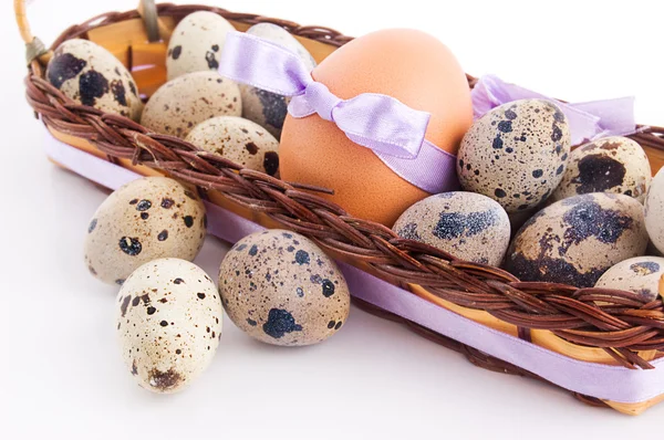 Codornas e ovos de galinha na cesta — Fotografia de Stock