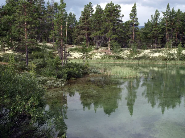Lake in woods — Stock Photo, Image