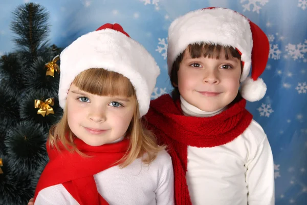 Дети в новогодних шапках лежат под елкой — стоковое фото