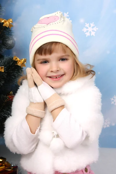 美丽的女孩在毛皮披风、 帽子和手套周围曲奇 — 图库照片