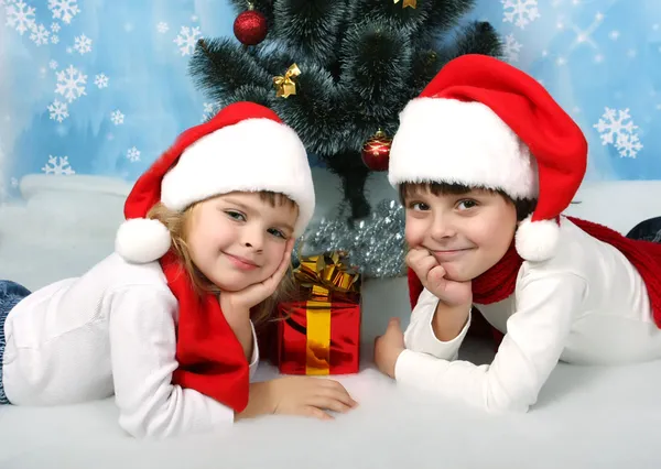 Crianças bonitas em bonés novos jazem sob a árvore Imagem De Stock